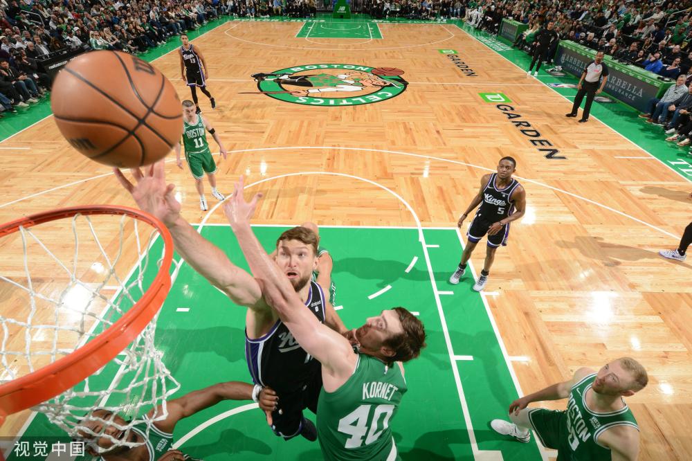 阵容稳定器 阵容稳定器